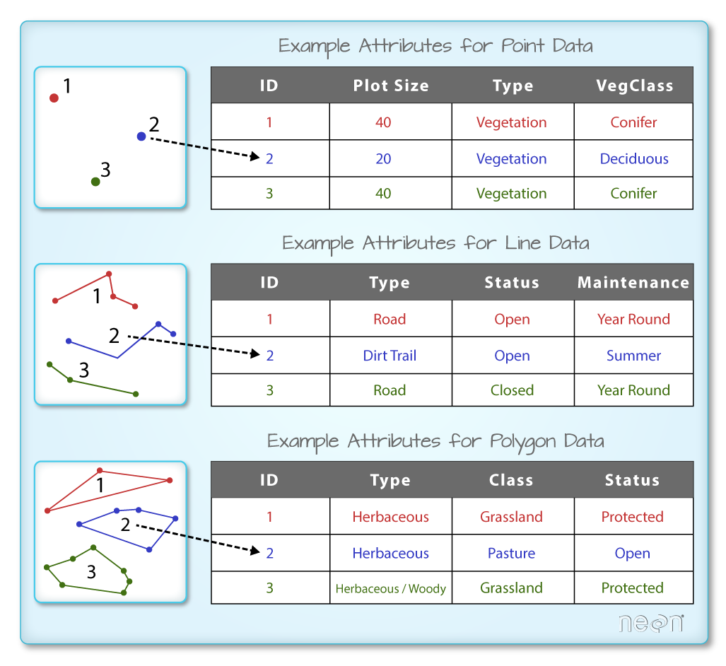 Vector Data